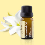 【Bone】茉莉精油 Essential Oil - Jasmine 10ml