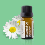 【Bone】洋甘菊精油 Essential Oil - Chamomile Roman 10ml